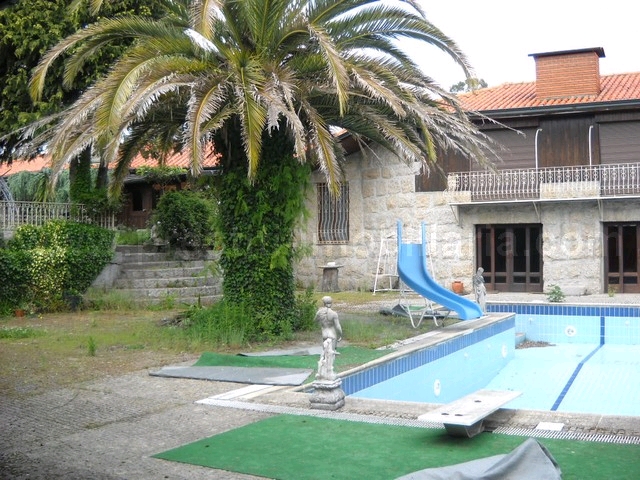 Quinta T6